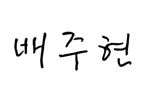KPOP idol Red Velvet  아이린 (Bae Joo-hyun, Irene) Printable Hangul name fan sign, fanboard resources for concert Normal