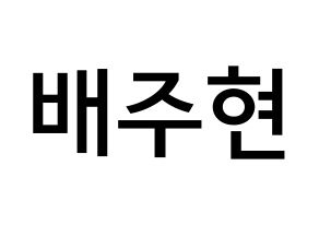 KPOP idol Red Velvet  아이린 (Bae Joo-hyun, Irene) Printable Hangul name Fansign Fanboard resources for concert Normal