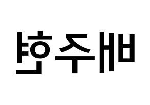 KPOP idol Red Velvet  아이린 (Bae Joo-hyun, Irene) Printable Hangul name Fansign Fanboard resources for concert Reversed