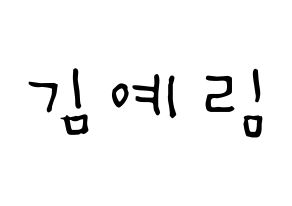 KPOP idol Red Velvet  예리 (Kim Ye-rim, Yeri) Printable Hangul name Fansign Fanboard resources for concert Normal