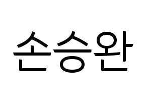 KPOP idol Red Velvet  웬디 (Son Seung-wan, Wendy) Printable Hangul name fan sign, fanboard resources for light sticks Normal