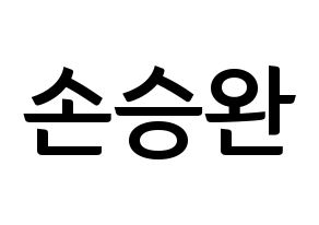 KPOP idol Red Velvet  웬디 (Son Seung-wan, Wendy) Printable Hangul name fan sign, fanboard resources for concert Normal