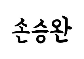 KPOP idol Red Velvet  웬디 (Son Seung-wan, Wendy) Printable Hangul name fan sign, fanboard resources for concert Normal