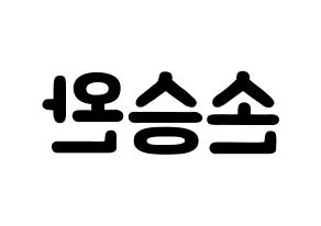 KPOP idol Red Velvet  웬디 (Son Seung-wan, Wendy) Printable Hangul name fan sign & fan board resources Reversed