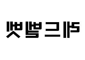 KPOP idol Red Velvet Printable Hangul fan sign & concert board resources Reversed