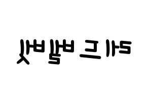KPOP idol Red Velvet Printable Hangul Fansign concert board resources Reversed