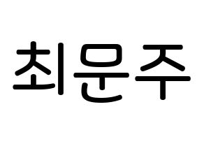 KPOP idol S.I.S  가을 (Choi Moon-joo, Gaeul) Printable Hangul name Fansign Fanboard resources for concert Normal