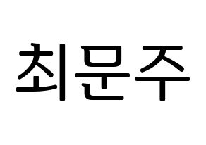 KPOP idol S.I.S  가을 (Choi Moon-joo, Gaeul) Printable Hangul name fan sign, fanboard resources for LED Normal