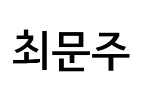 KPOP idol S.I.S  가을 (Choi Moon-joo, Gaeul) Printable Hangul name Fansign Fanboard resources for concert Normal