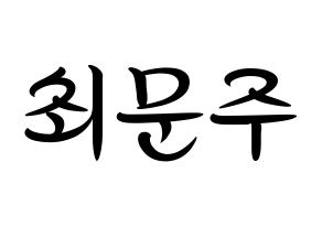 KPOP idol S.I.S  가을 (Choi Moon-joo, Gaeul) Printable Hangul name fan sign, fanboard resources for concert Normal