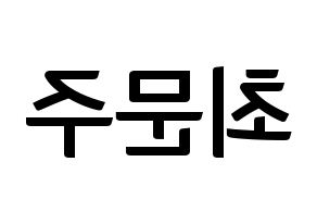 KPOP idol S.I.S  가을 (Choi Moon-joo, Gaeul) Printable Hangul name fan sign, fanboard resources for concert Reversed