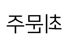 KPOP idol S.I.S  가을 (Choi Moon-joo, Gaeul) Printable Hangul name fan sign, fanboard resources for LED Reversed