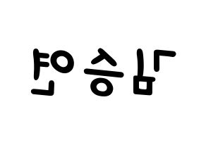 KPOP idol S.I.S  앤 (Kim Seungyeon, Anne) Printable Hangul name fan sign, fanboard resources for light sticks Reversed