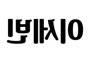 KPOP idol S.I.S  세빈 (Lee Se-bin, Sebin) Printable Hangul name fan sign, fanboard resources for light sticks Reversed