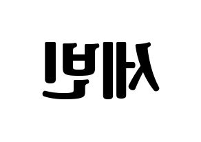 KPOP idol S.I.S  세빈 (Lee Se-bin, Sebin) Printable Hangul name fan sign, fanboard resources for light sticks Reversed