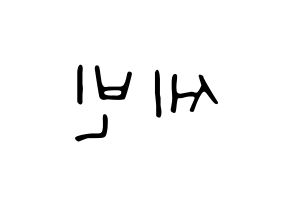 KPOP idol S.I.S  세빈 (Lee Se-bin, Sebin) Printable Hangul name fan sign, fanboard resources for LED Reversed