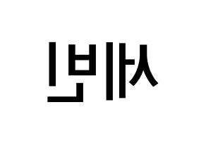KPOP idol S.I.S  세빈 (Lee Se-bin, Sebin) Printable Hangul name Fansign Fanboard resources for concert Reversed