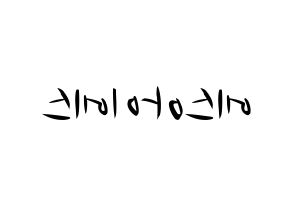 KPOP idol S.I.S Printable Hangul fan sign, concert board resources for light sticks Reversed