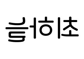 KPOP idol SATURDAY  하늘 (Choi Ha-neul, Haneul) Printable Hangul name Fansign Fanboard resources for concert Reversed
