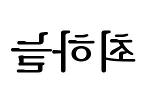 KPOP idol SATURDAY  하늘 (Choi Ha-neul, Haneul) Printable Hangul name fan sign, fanboard resources for LED Reversed