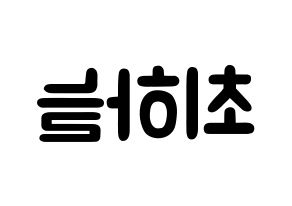 KPOP idol SATURDAY  하늘 (Choi Ha-neul, Haneul) Printable Hangul name fan sign & fan board resources Reversed