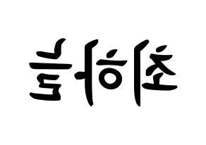 KPOP idol SATURDAY  하늘 (Choi Ha-neul, Haneul) Printable Hangul name fan sign, fanboard resources for concert Reversed