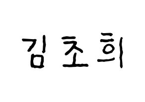 KPOP idol SATURDAY  초희 (Kim Cho-hee, Chohee) Printable Hangul name fan sign, fanboard resources for concert Normal