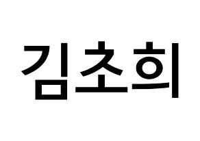 KPOP idol SATURDAY  초희 (Kim Cho-hee, Chohee) Printable Hangul name Fansign Fanboard resources for concert Normal