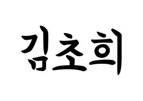KPOP idol SATURDAY  초희 (Kim Cho-hee, Chohee) Printable Hangul name fan sign, fanboard resources for concert Normal