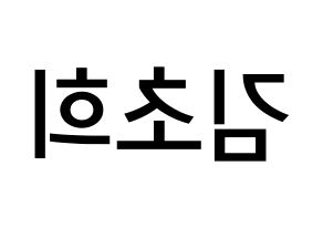 KPOP idol SATURDAY  초희 (Kim Cho-hee, Chohee) Printable Hangul name Fansign Fanboard resources for concert Reversed