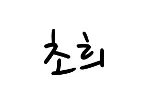 KPOP idol SATURDAY  초희 (Kim Cho-hee, Chohee) Printable Hangul name fan sign, fanboard resources for LED Normal