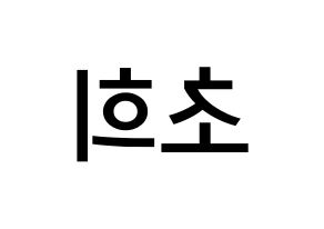 KPOP idol SATURDAY  초희 (Kim Cho-hee, Chohee) Printable Hangul name Fansign Fanboard resources for concert Reversed