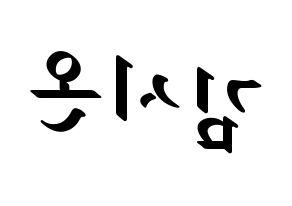 KPOP idol SATURDAY  시온 (Kim Si-on, Sion) Printable Hangul name fan sign, fanboard resources for LED Reversed