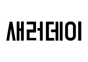 KPOP idol SATURDAY Printable Hangul Fansign concert board resources Normal