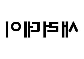 KPOP idol SATURDAY Printable Hangul fan sign & concert board resources Reversed
