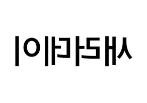 KPOP idol SATURDAY Printable Hangul Fansign Fanboard resources Reversed