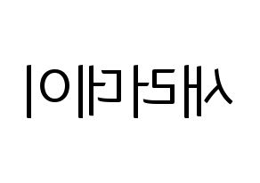 KPOP idol SATURDAY Printable Hangul fan sign, fanboard resources for light sticks Reversed