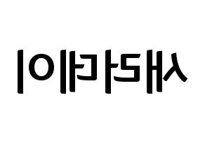 KPOP idol SATURDAY Printable Hangul fan sign & fan board resources Reversed