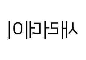 KPOP idol SATURDAY Printable Hangul fan sign, fanboard resources for LED Reversed