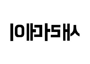 KPOP idol SATURDAY Printable Hangul fan sign & fan board resources Reversed