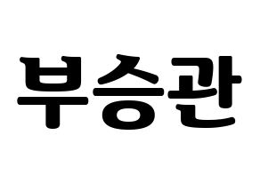 KPOP idol SEVENTEEN  승관 (Boo Seung-kwan, SEUNGKWAN) Printable Hangul name fan sign, fanboard resources for light sticks Normal