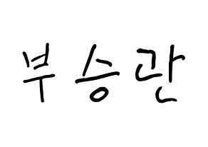 KPOP idol SEVENTEEN  승관 (Boo Seung-kwan, SEUNGKWAN) Printable Hangul name fan sign, fanboard resources for concert Normal