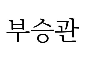 KPOP idol SEVENTEEN  승관 (Boo Seung-kwan, SEUNGKWAN) Printable Hangul name fan sign & fan board resources Normal