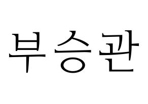 KPOP idol SEVENTEEN  승관 (Boo Seung-kwan, SEUNGKWAN) Printable Hangul name fan sign & fan board resources Normal