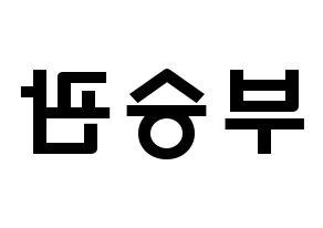 KPOP idol SEVENTEEN  승관 (Boo Seung-kwan, SEUNGKWAN) Printable Hangul name fan sign & fan board resources Reversed