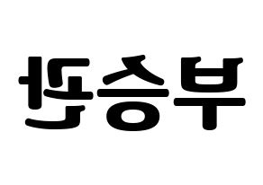 KPOP idol SEVENTEEN  승관 (Boo Seung-kwan, SEUNGKWAN) Printable Hangul name fan sign, fanboard resources for light sticks Reversed