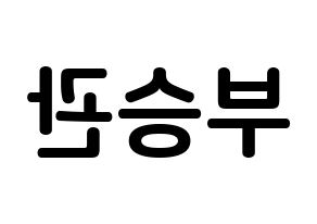 KPOP idol SEVENTEEN  승관 (Boo Seung-kwan, SEUNGKWAN) Printable Hangul name fan sign, fanboard resources for concert Reversed
