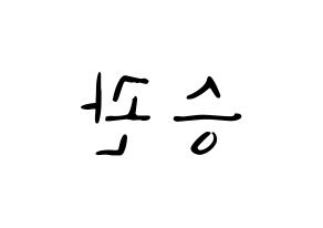 KPOP idol SEVENTEEN  승관 (Boo Seung-kwan, SEUNGKWAN) Printable Hangul name fan sign, fanboard resources for LED Reversed
