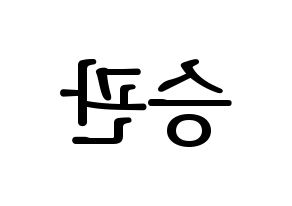 KPOP idol SEVENTEEN  승관 (Boo Seung-kwan, SEUNGKWAN) Printable Hangul name fan sign, fanboard resources for LED Reversed