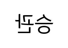 KPOP idol SEVENTEEN  승관 (Boo Seung-kwan, SEUNGKWAN) Printable Hangul name fan sign, fanboard resources for light sticks Reversed